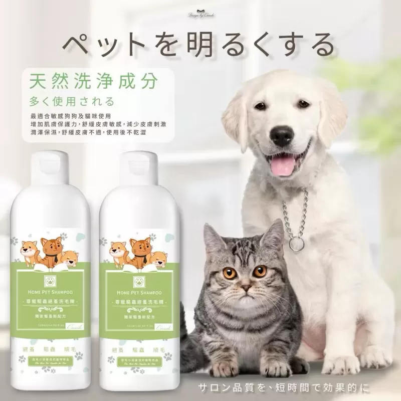 介紹圖片