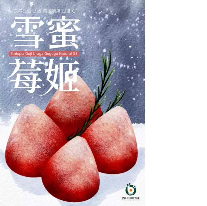 濾掛-雪蜜莓姬