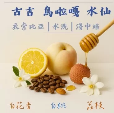 古吉 水仙