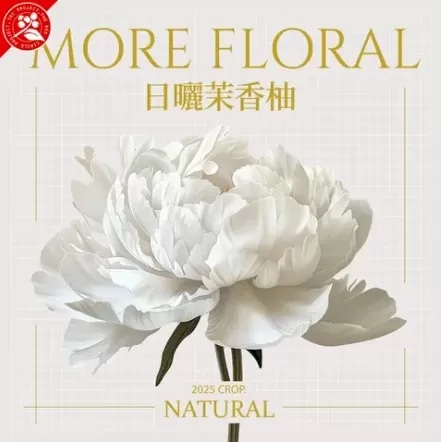 雪山茉莉