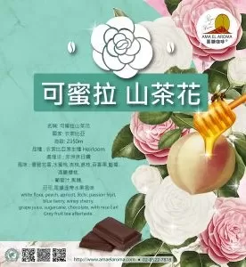 茶花女