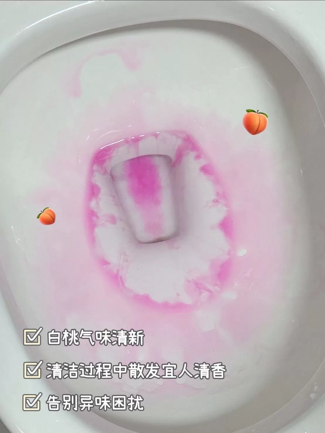介紹圖片