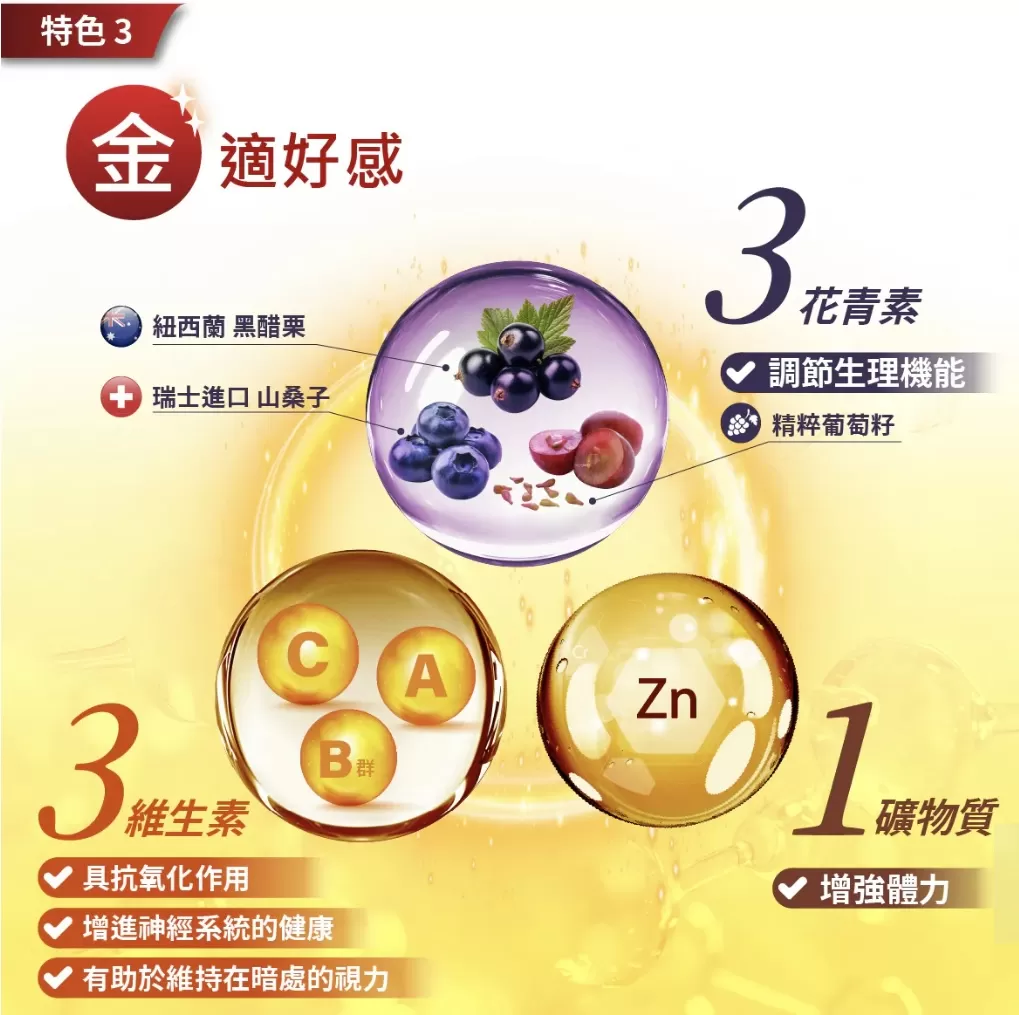 介紹圖片