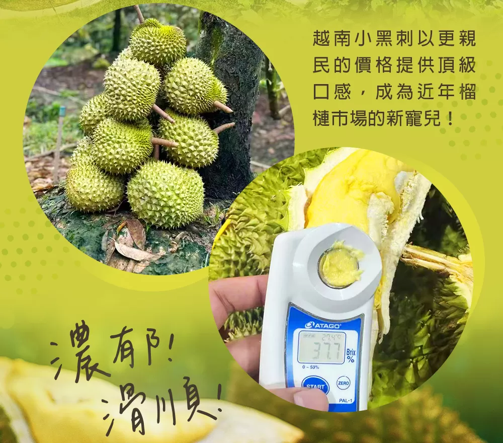介紹圖片