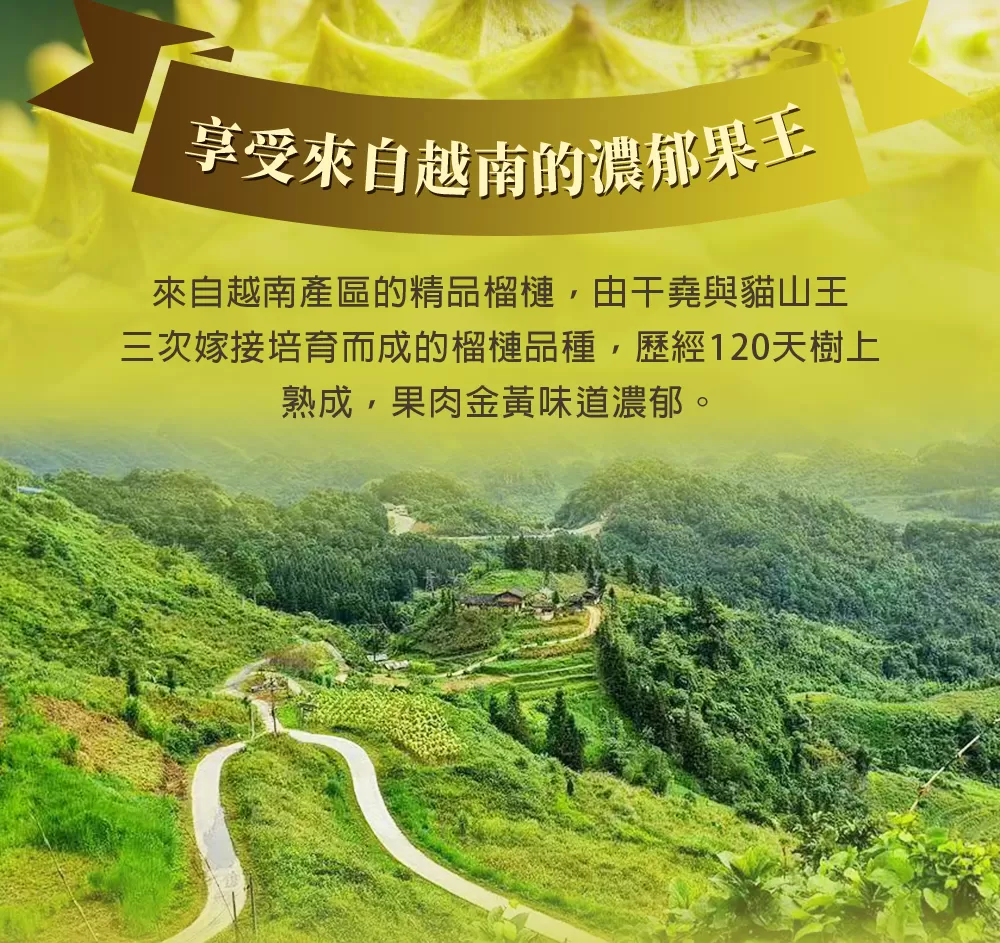 介紹圖片