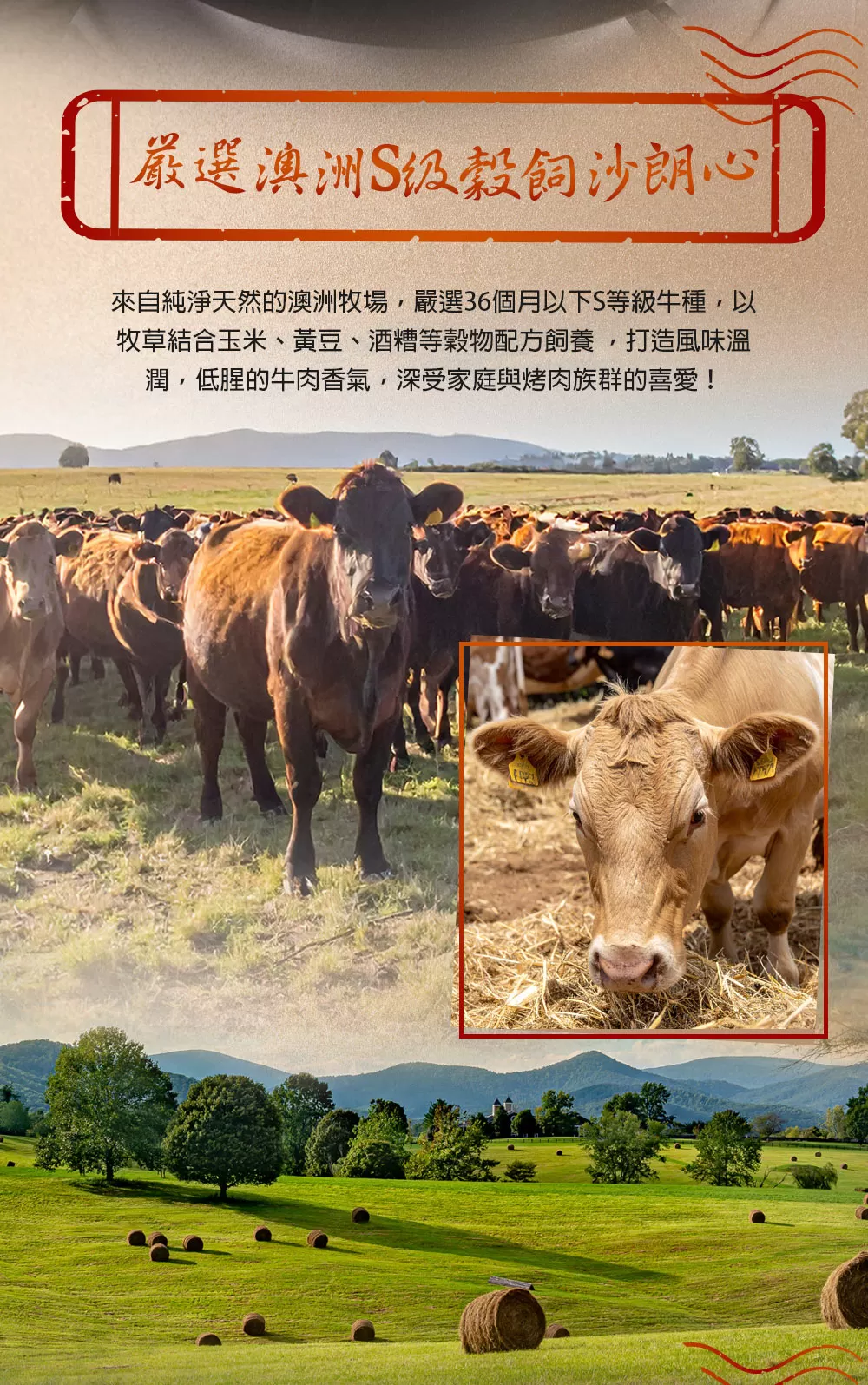 介紹圖片