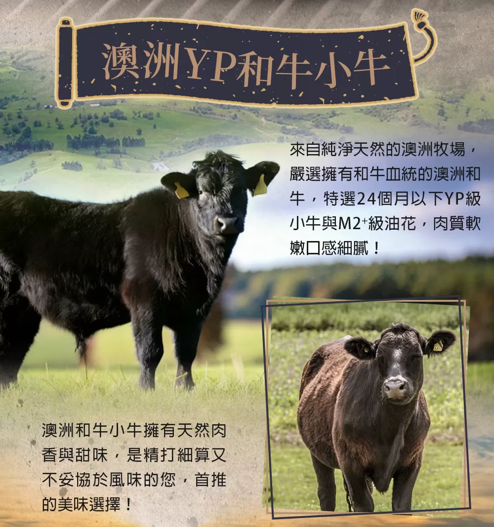 介紹圖片