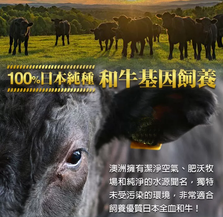 介紹圖片