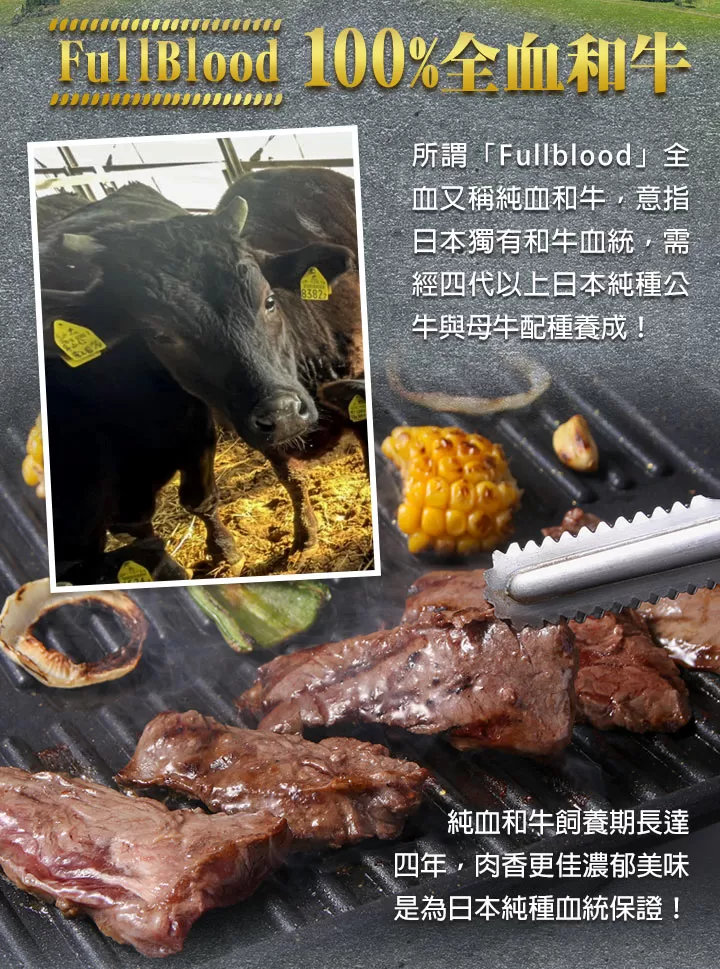 介紹圖片