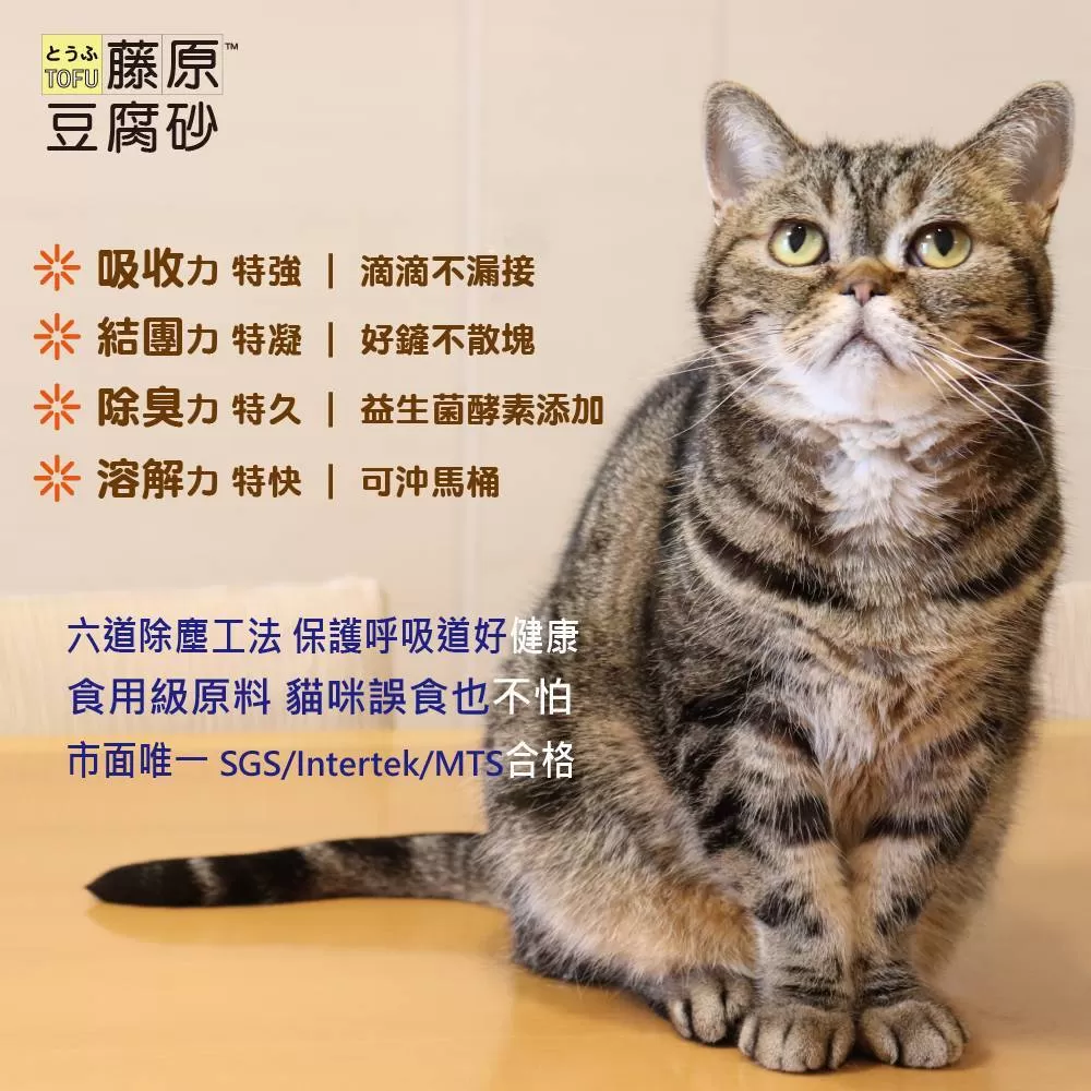 介紹圖片