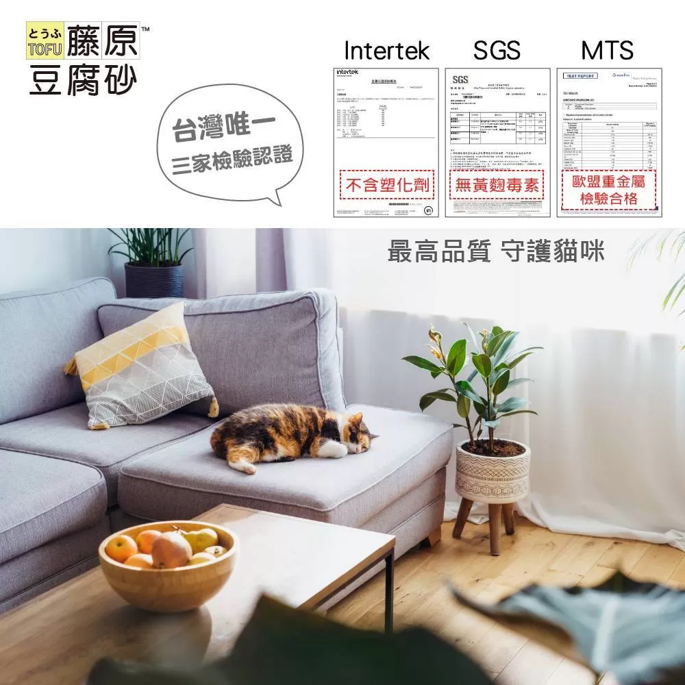 介紹圖片
