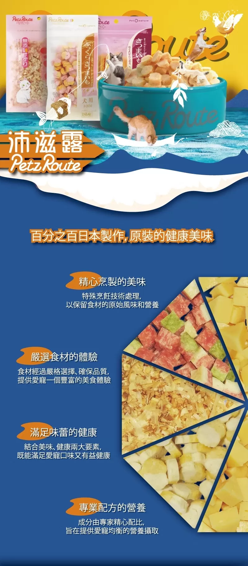 介紹圖片