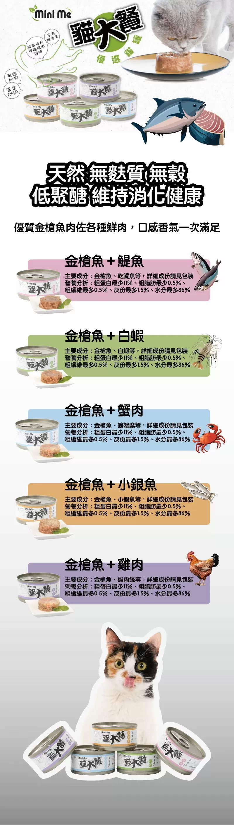 介紹圖片