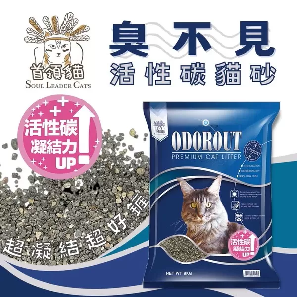 首領貓 臭不見 活性碳貓砂 / 9KG