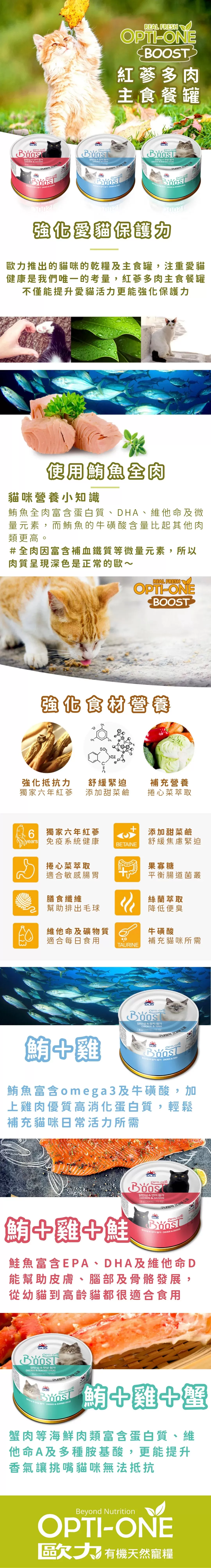 介紹圖片