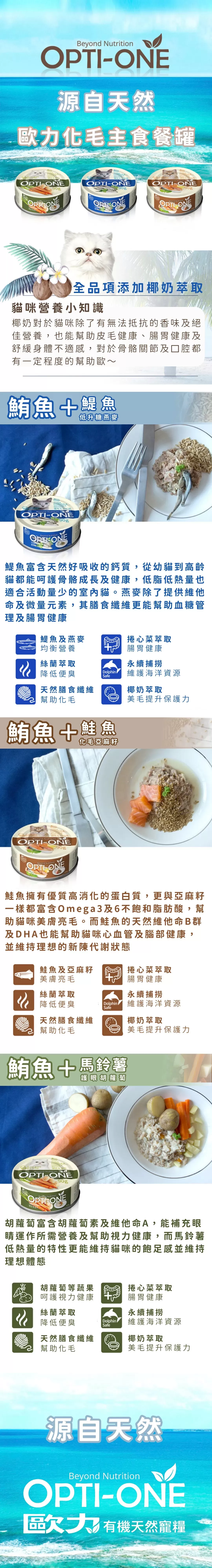 介紹圖片