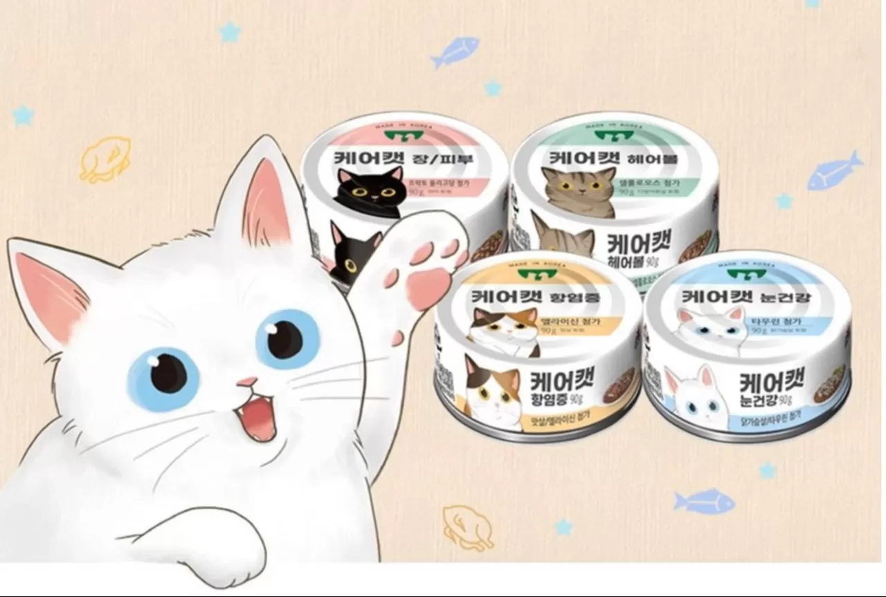 介紹圖片
