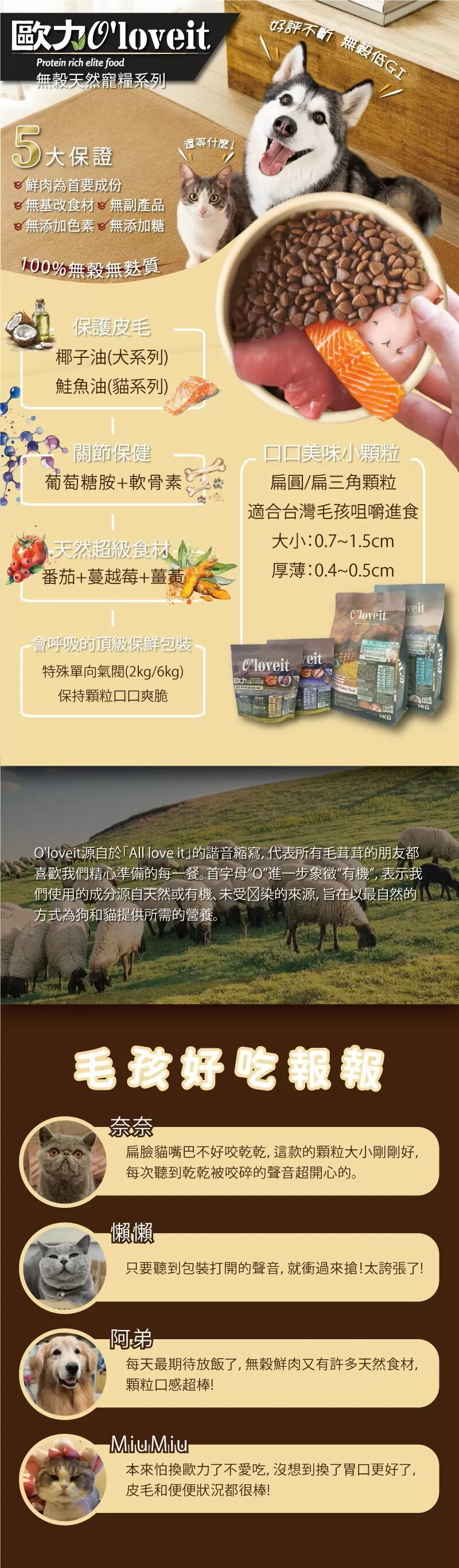 介紹圖片