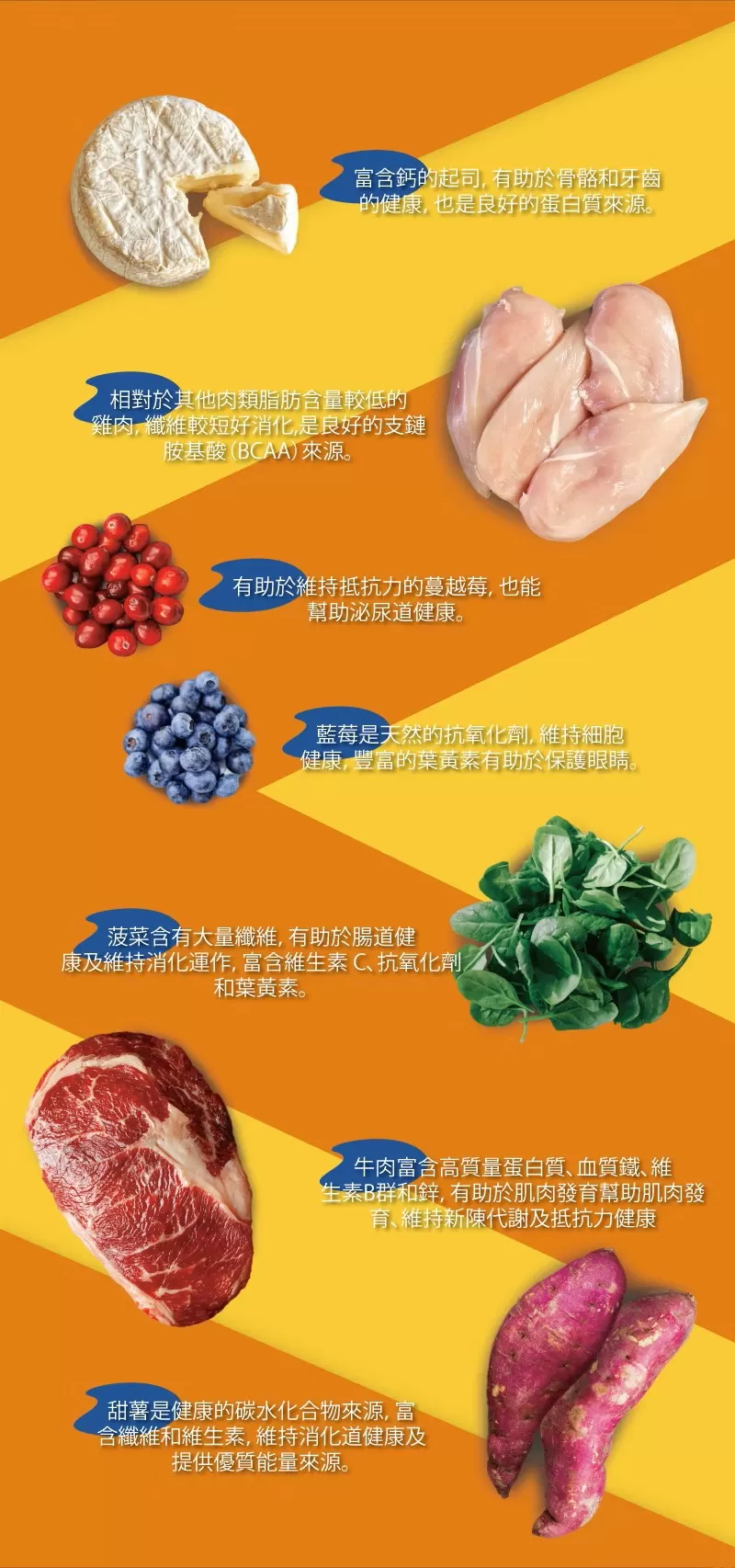 介紹圖片
