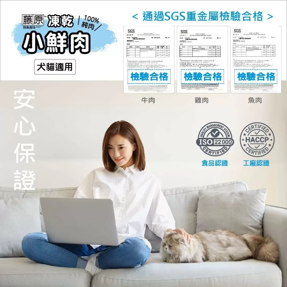 介紹圖片