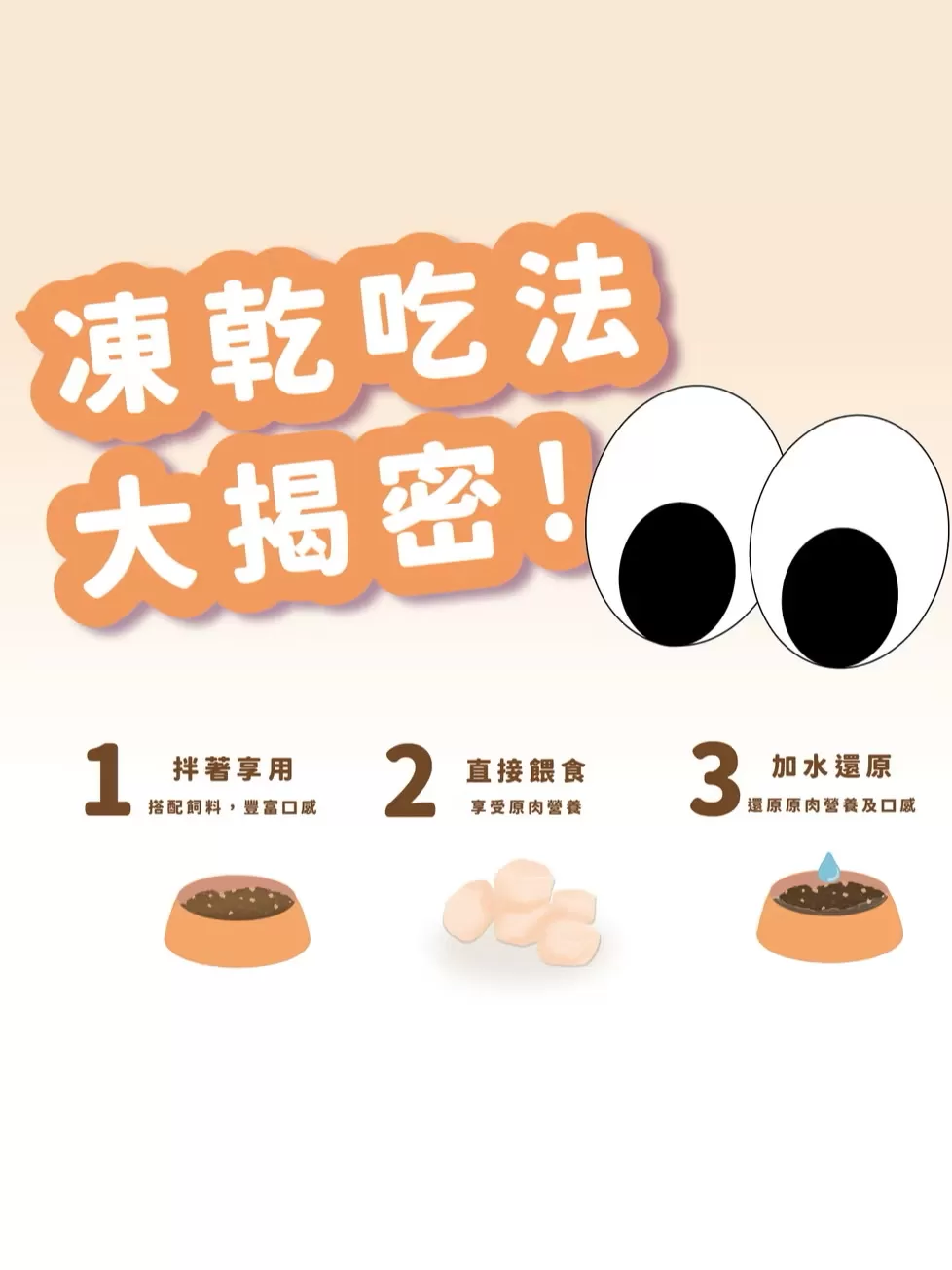 介紹圖片