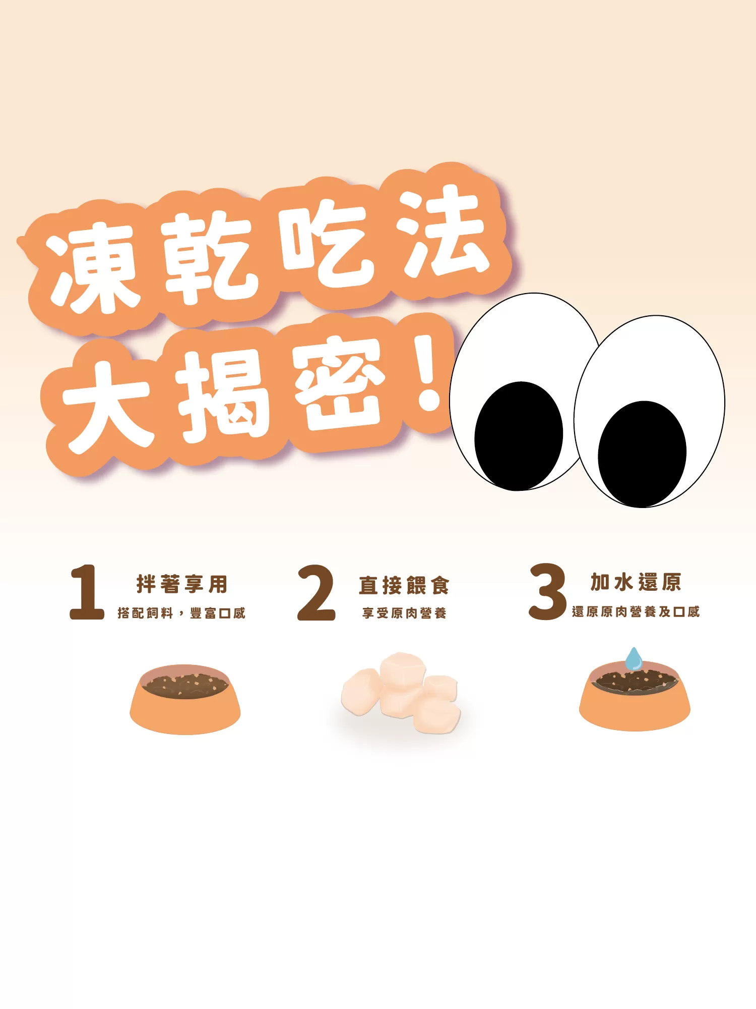 介紹圖片