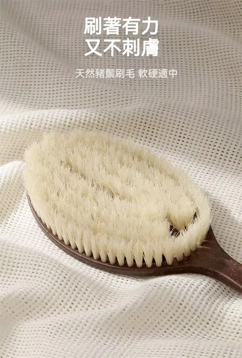 介紹圖片