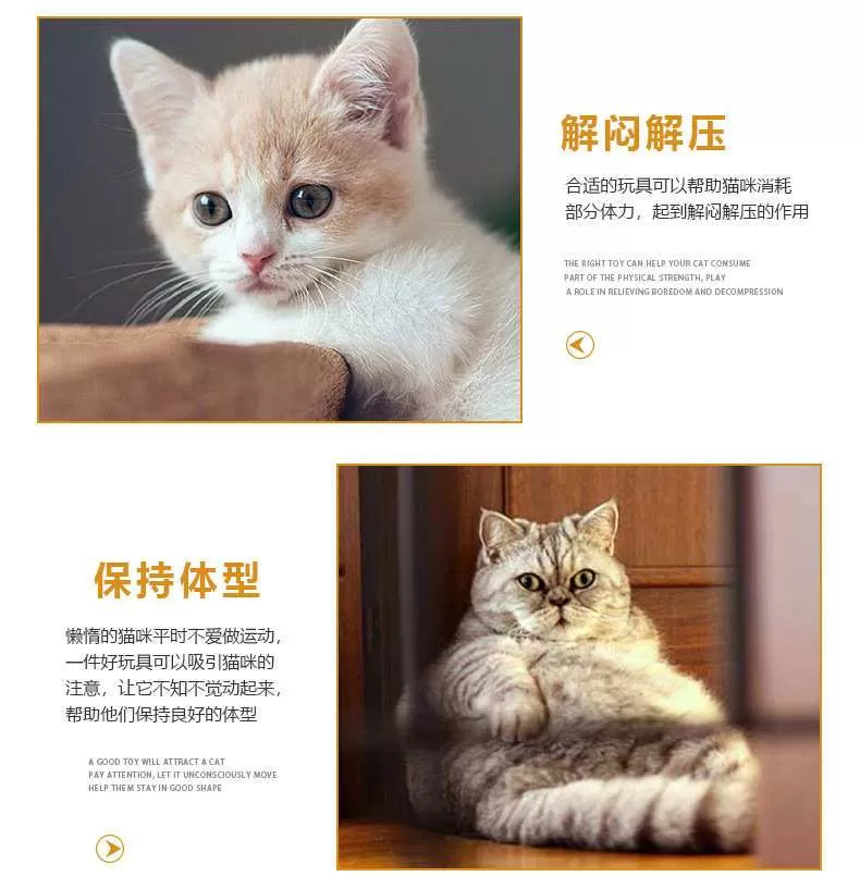 介紹圖片
