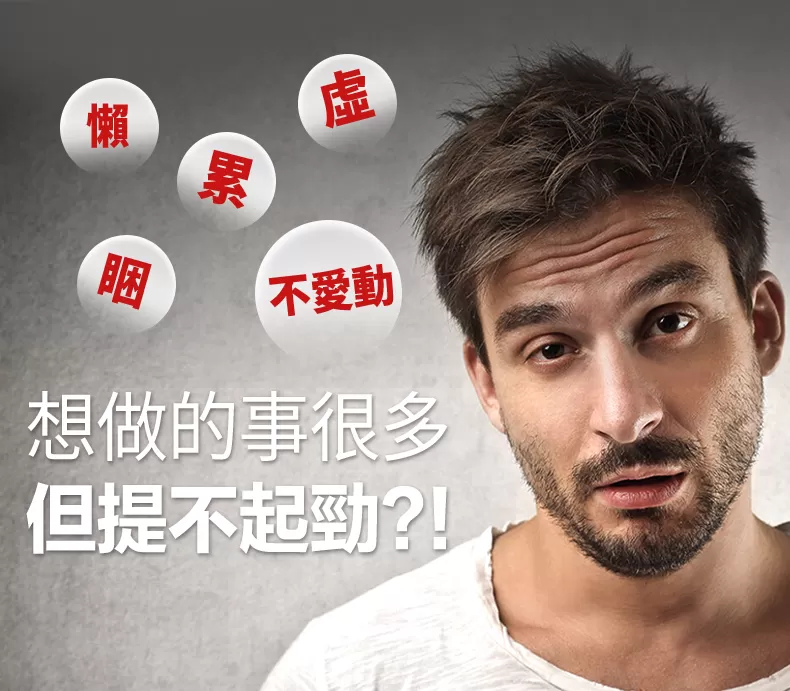 介紹圖片