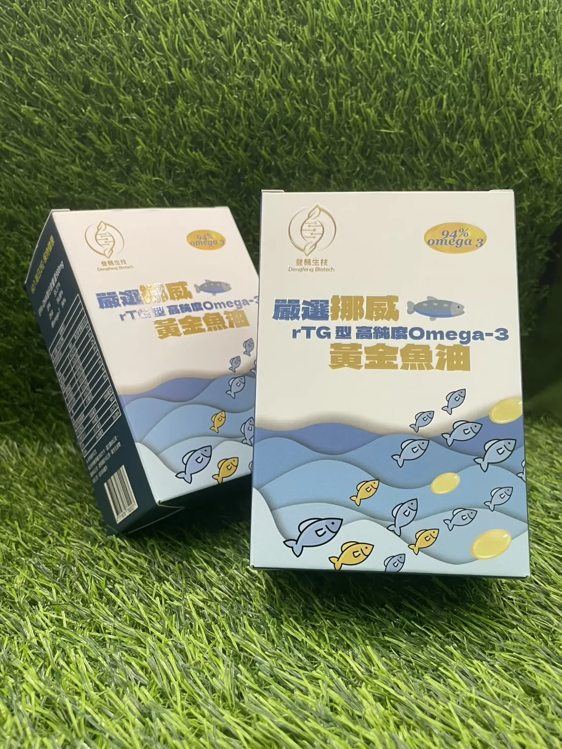 介紹圖片