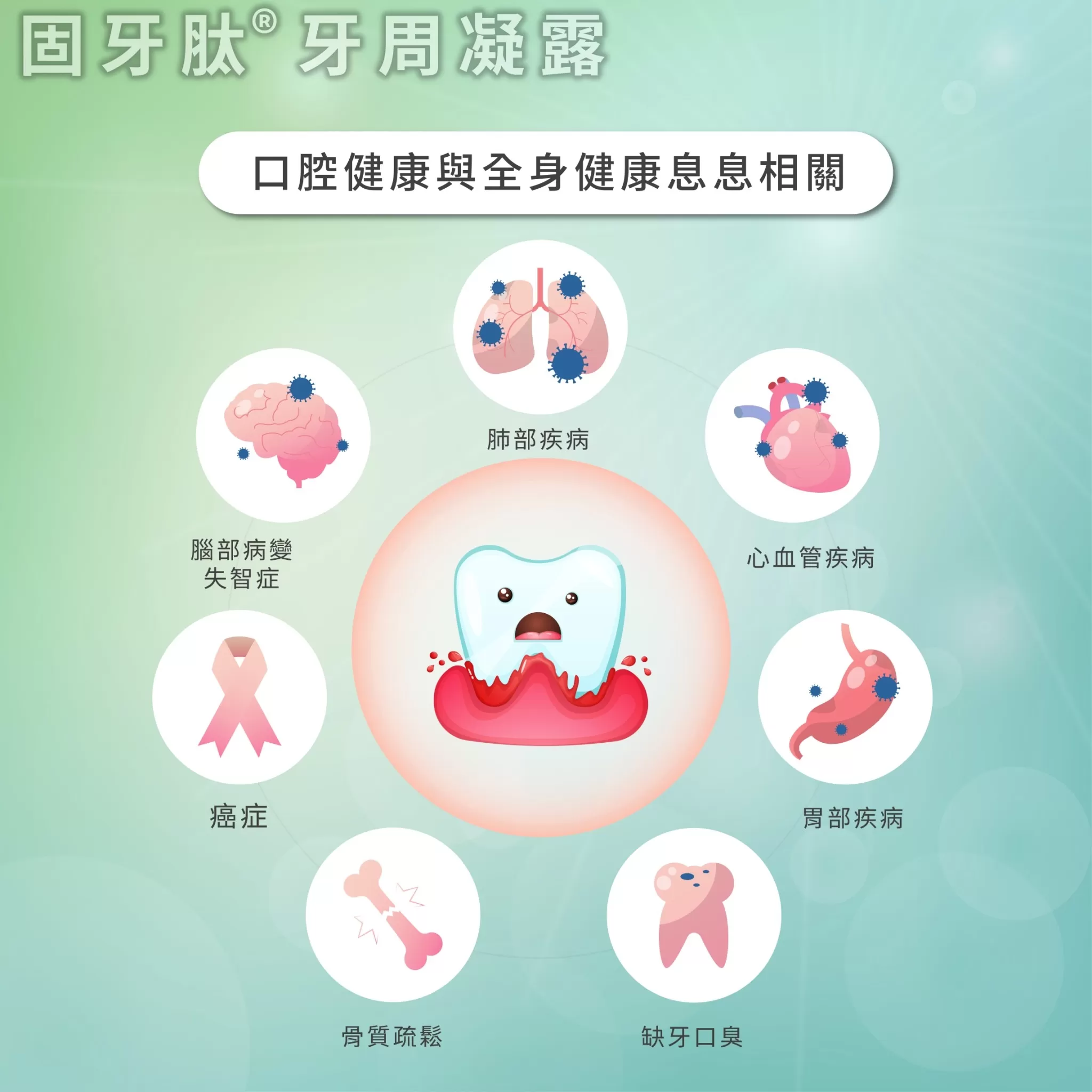 介紹圖片