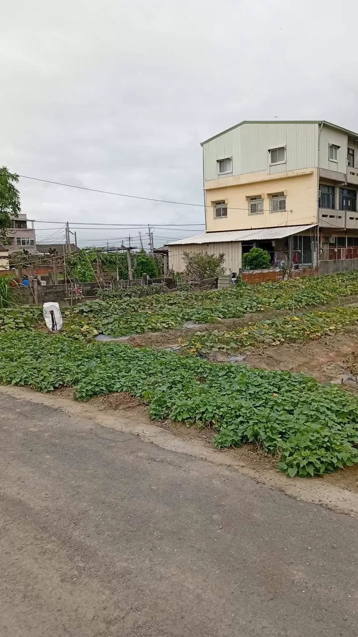 介紹圖片