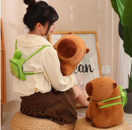 介紹圖片