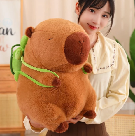 介紹圖片